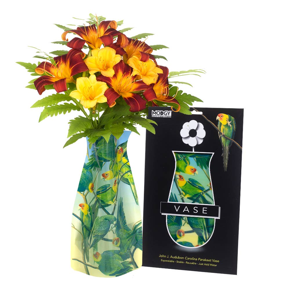 Modgy Expandable Vase - John J. Audubon Carolina Parakeets