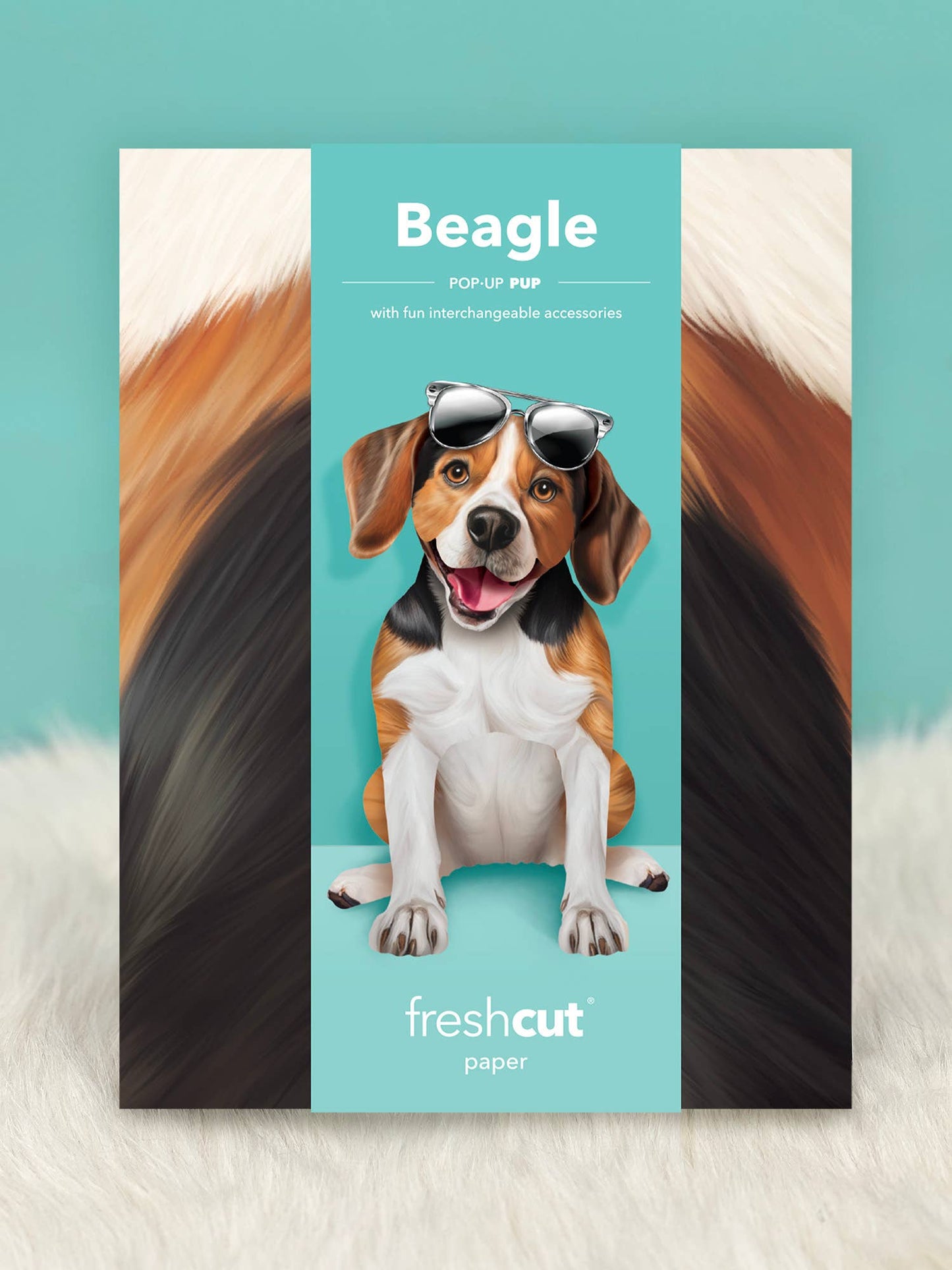 Beagle Pop Up Card