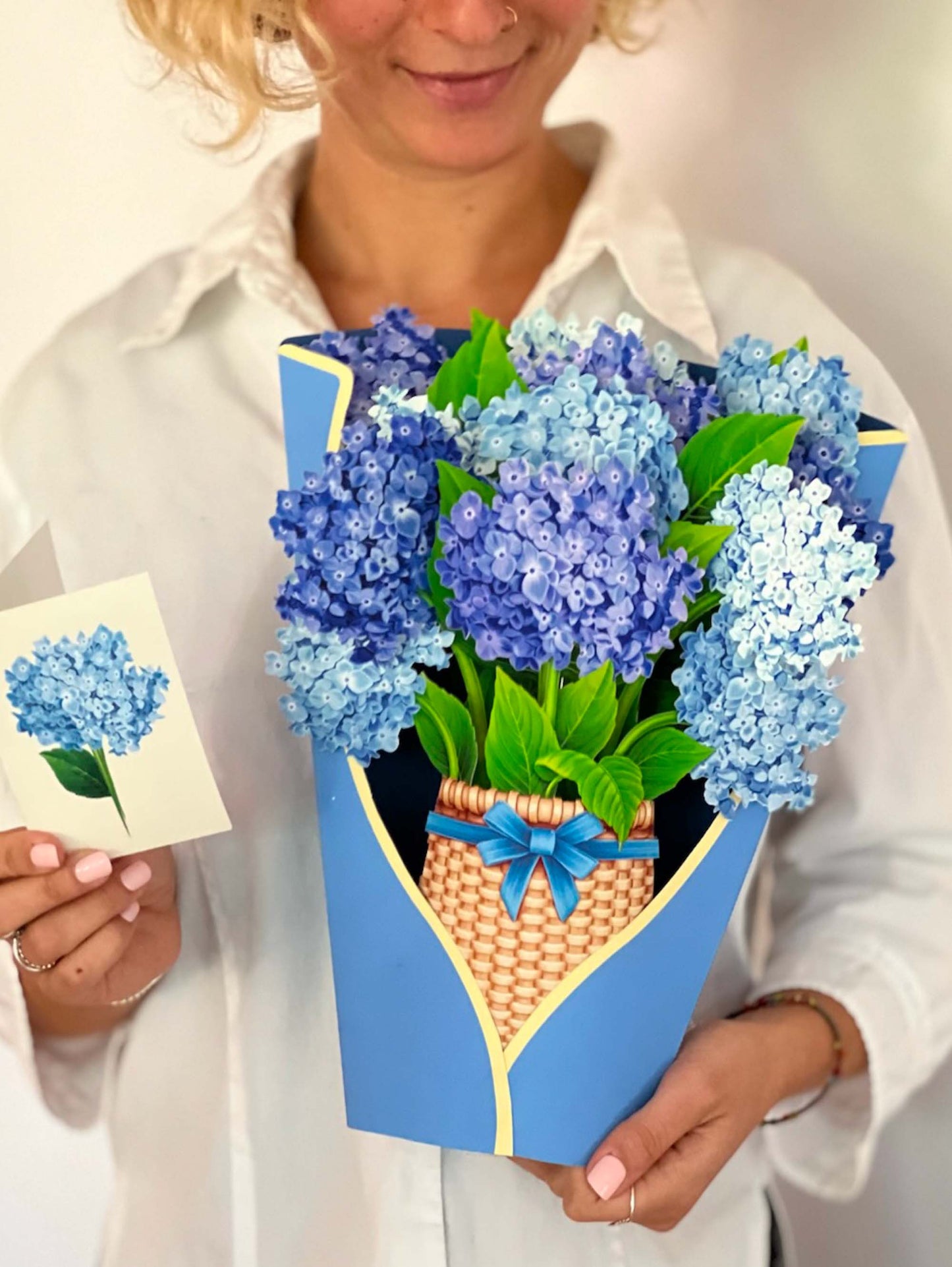 Nantucket Hydrangeas