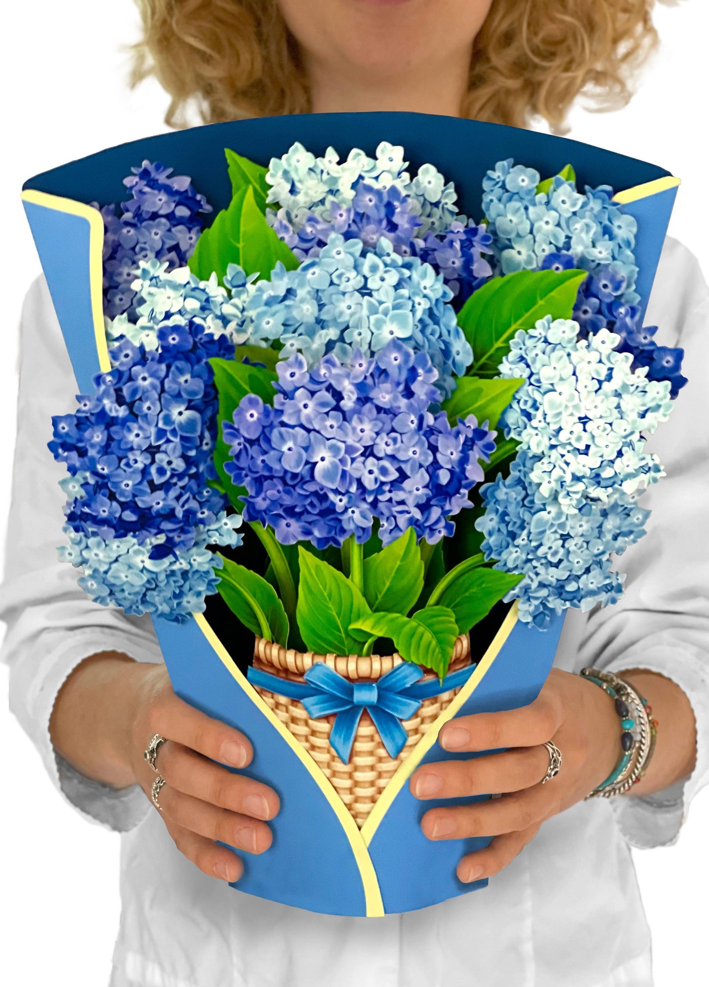 Nantucket Hydrangeas