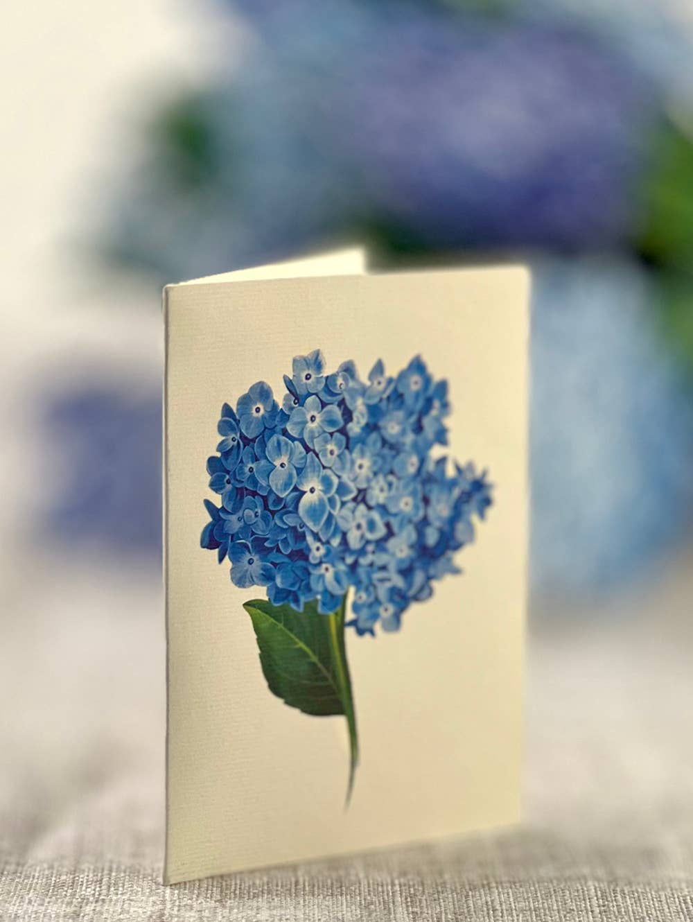 Nantucket Hydrangeas