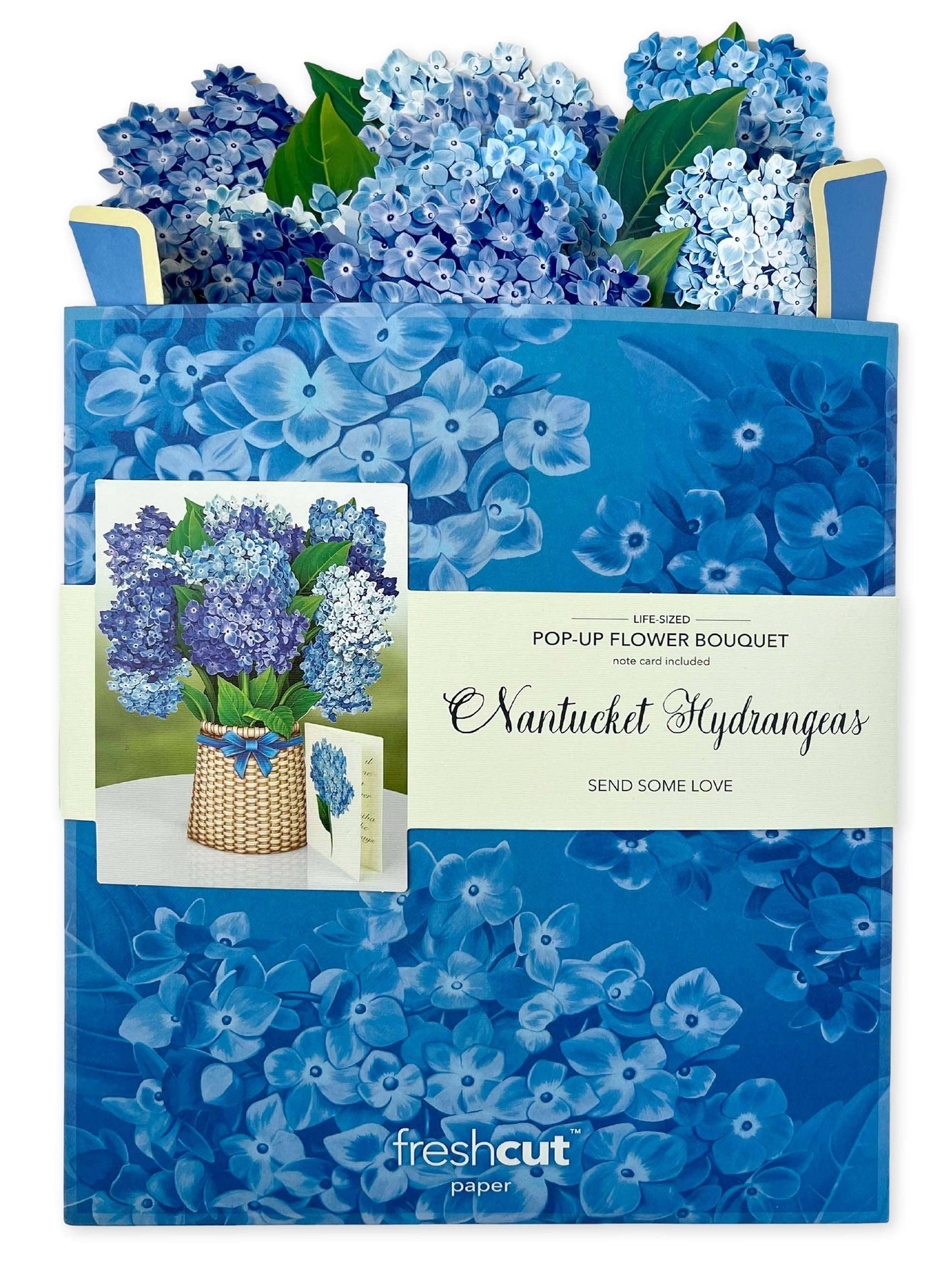 Nantucket Hydrangeas