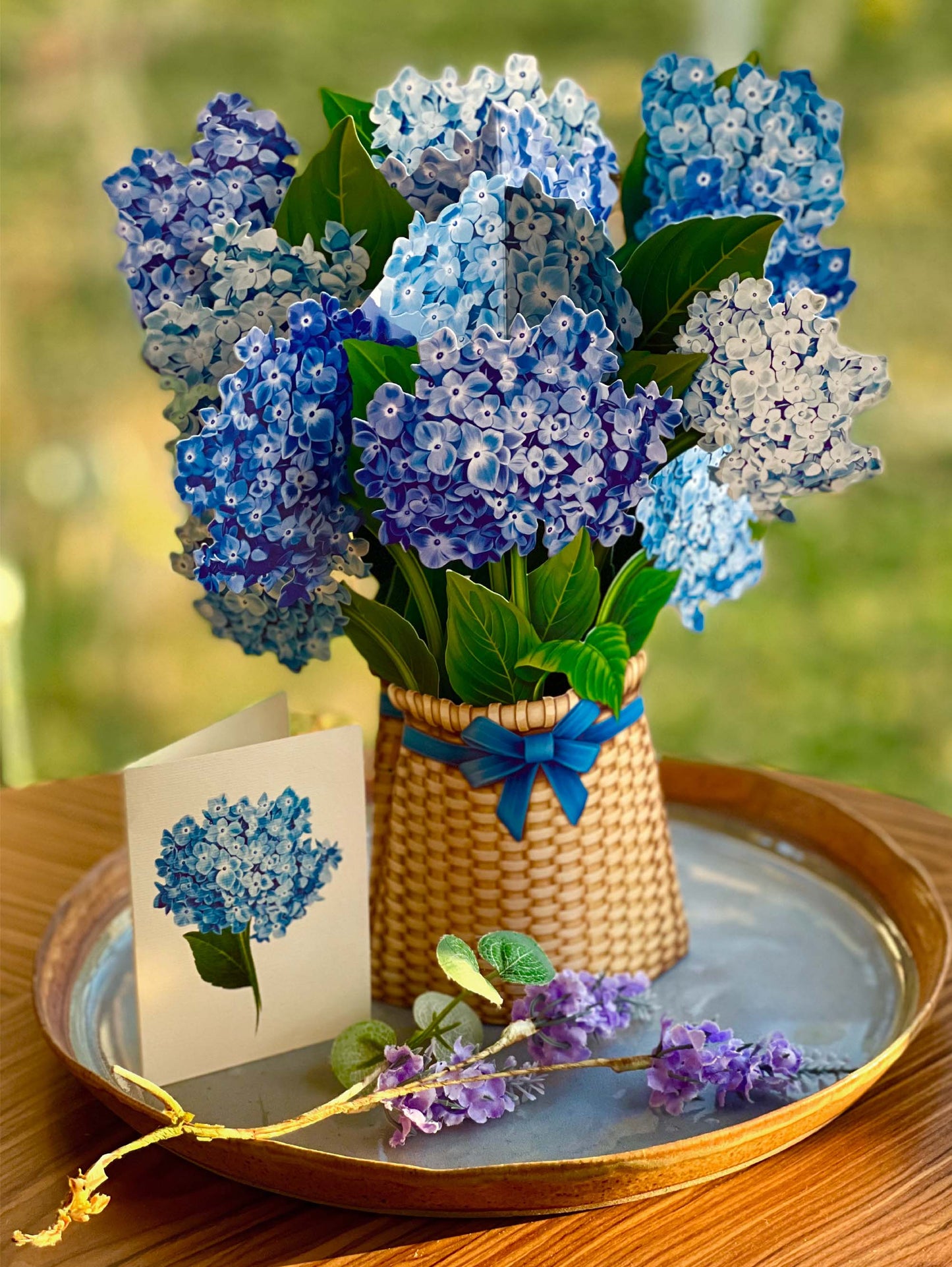 Nantucket Hydrangeas