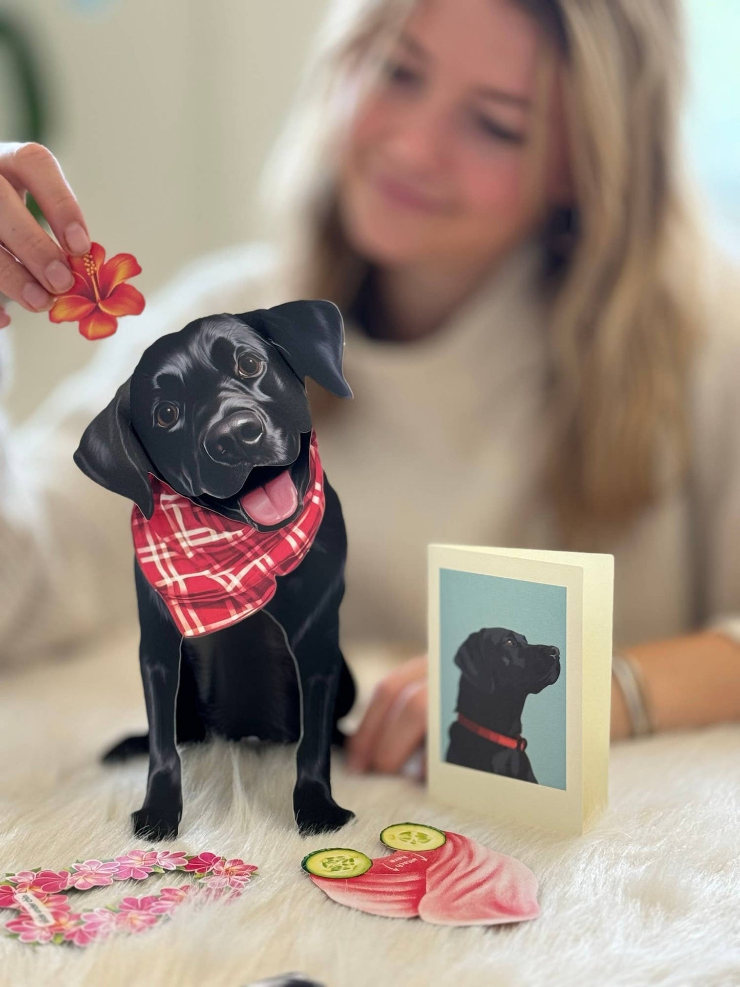 Black Lab Pop Up Card