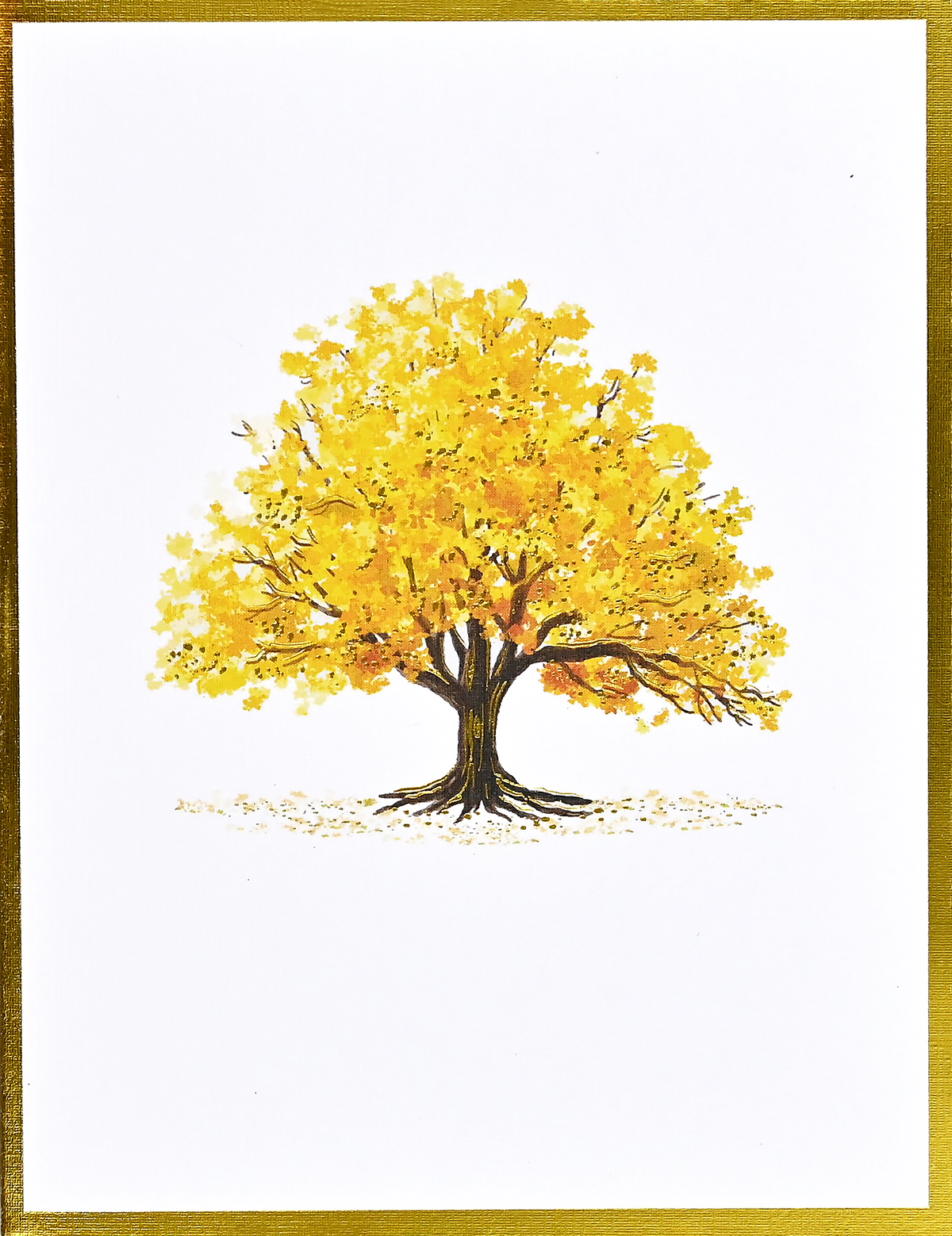 Watercolor Trees Premium Note Cards – Peter Pauper Press