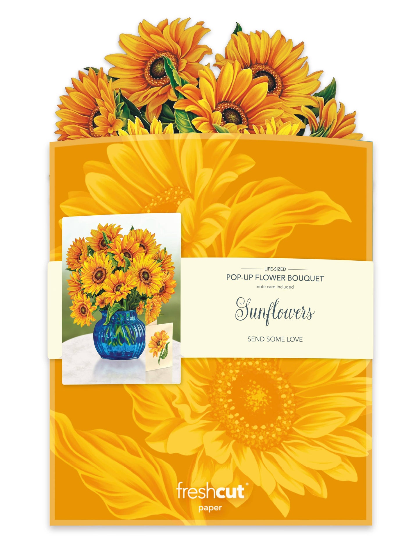 Sunflower (Updated Vase)  (8 Pop-up Greeting Cards)