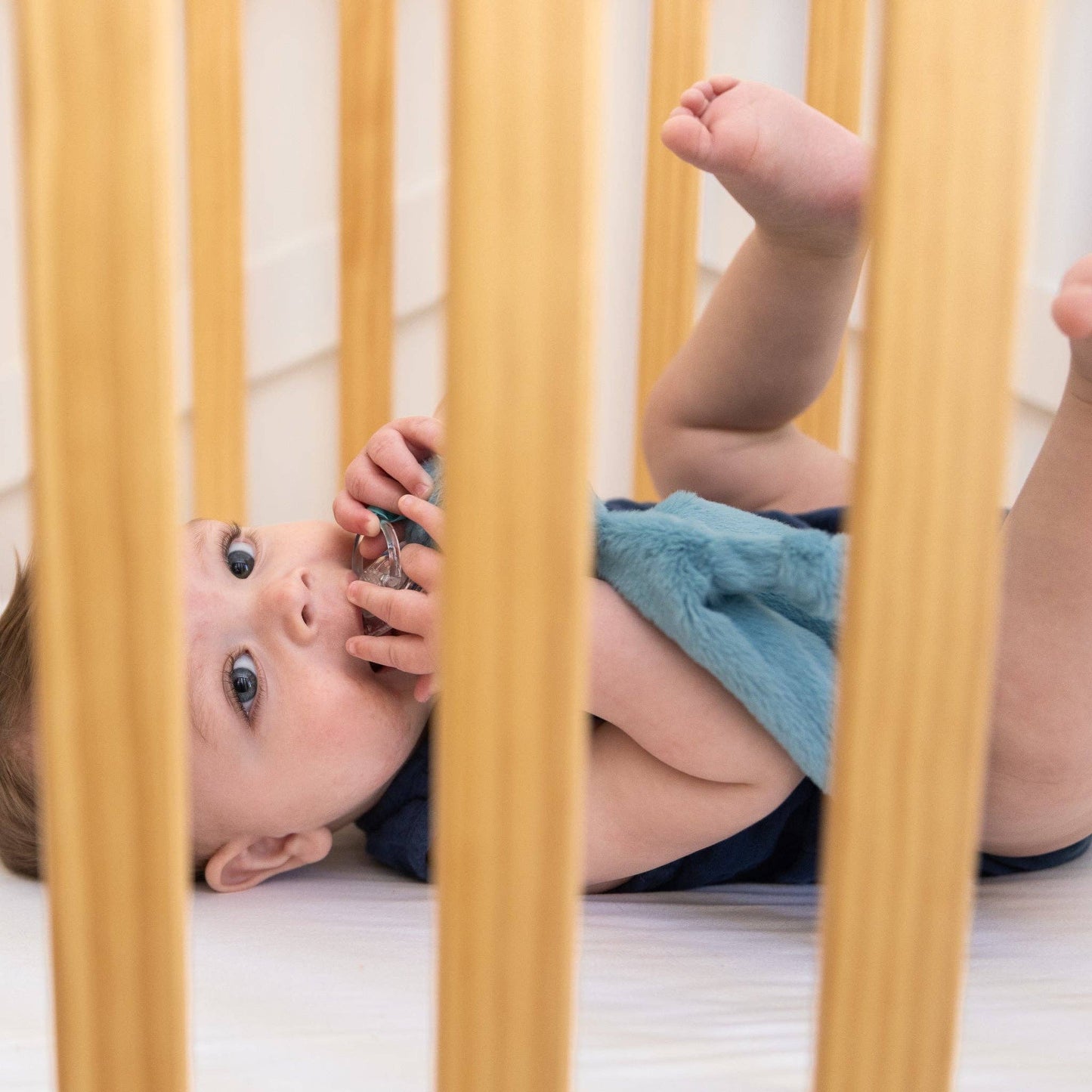 Pacifier Buddy Milo the Monkey: Blue