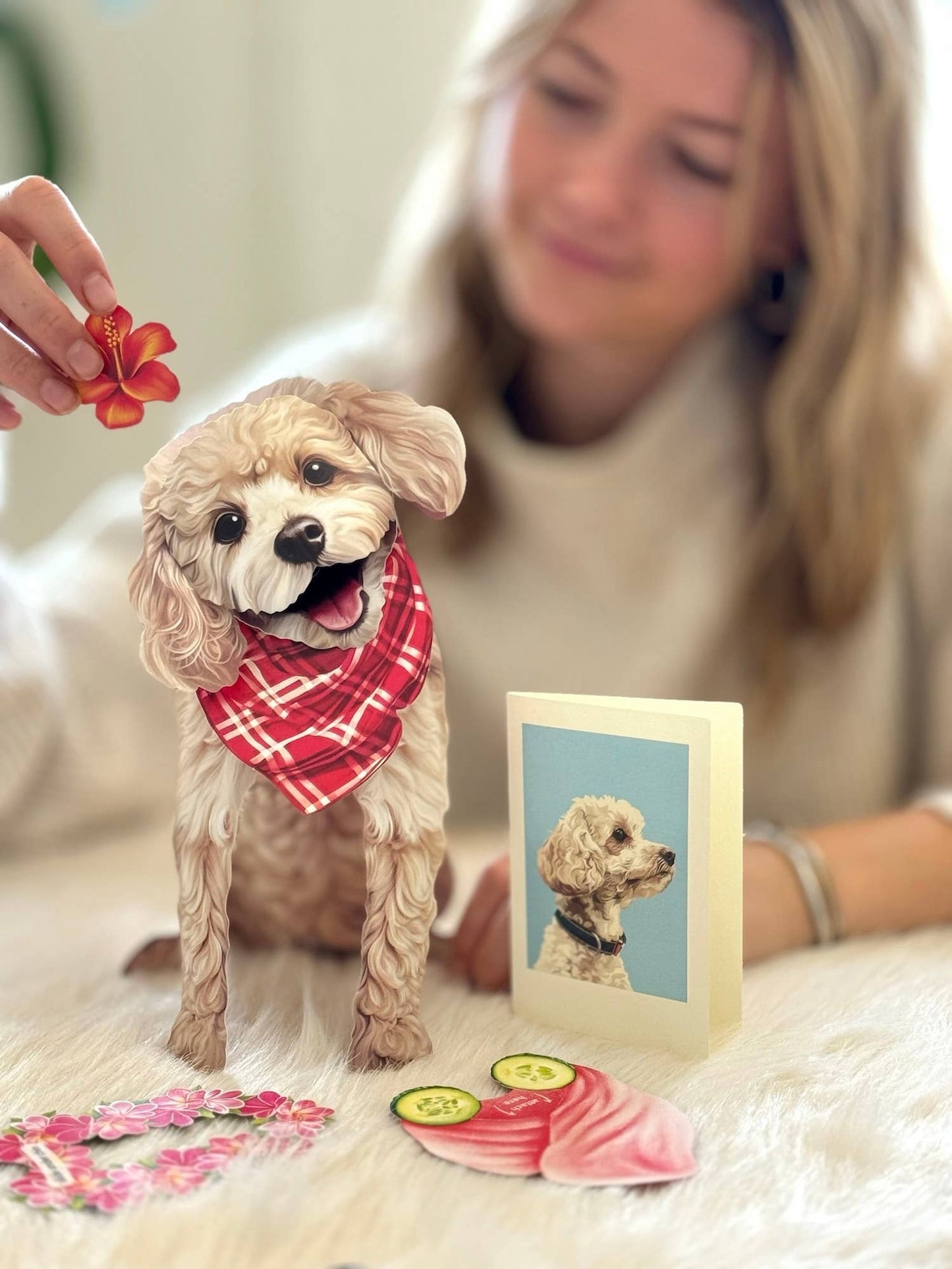 Poodle Pop Up Card