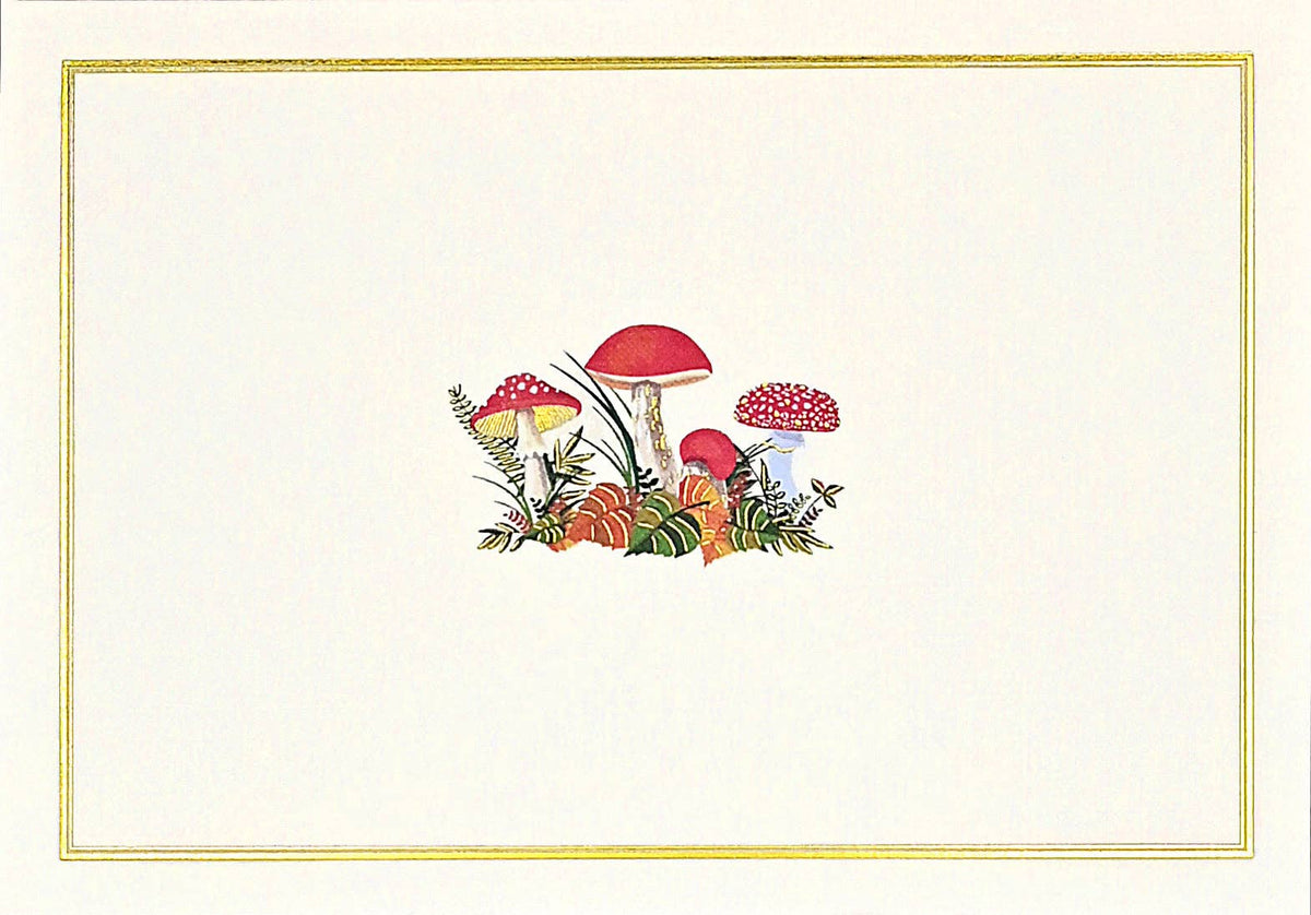 Mushrooms Note Cards – Boxed Stationery Set