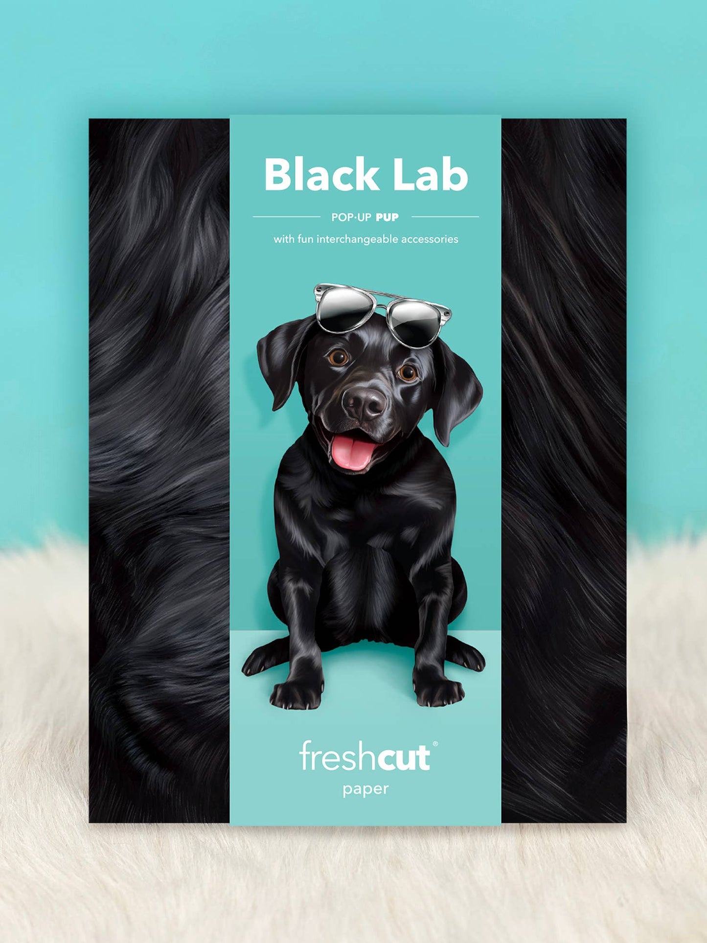 Black Lab Pop Up Card