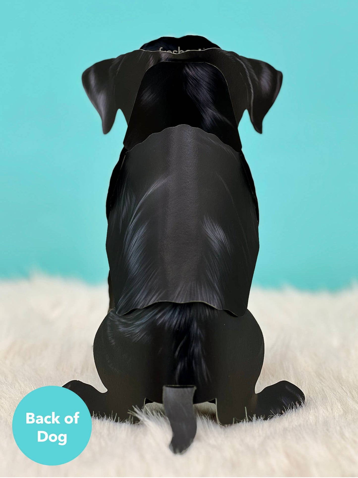 Black Lab Pop Up Card