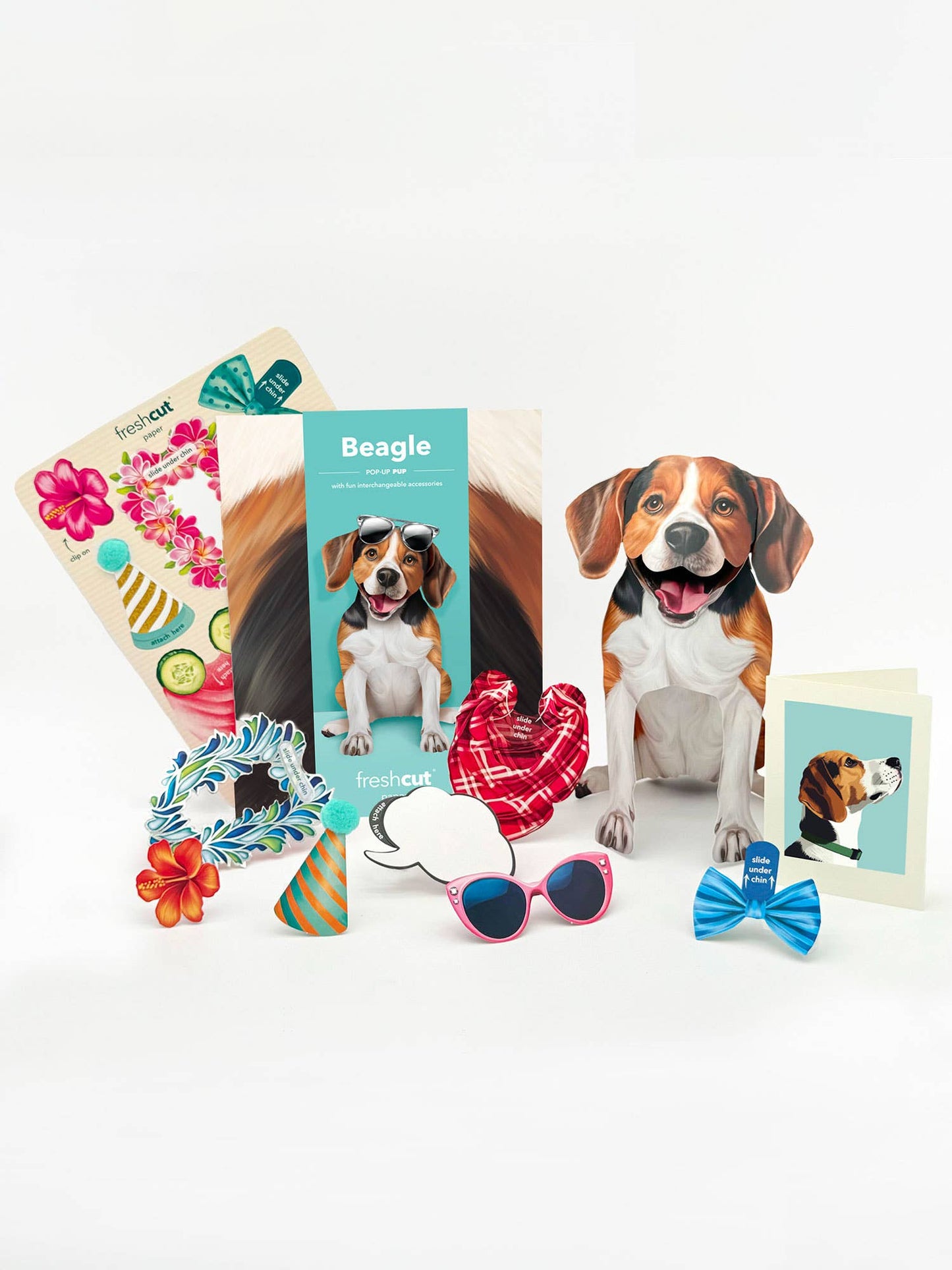Beagle Pop Up Card
