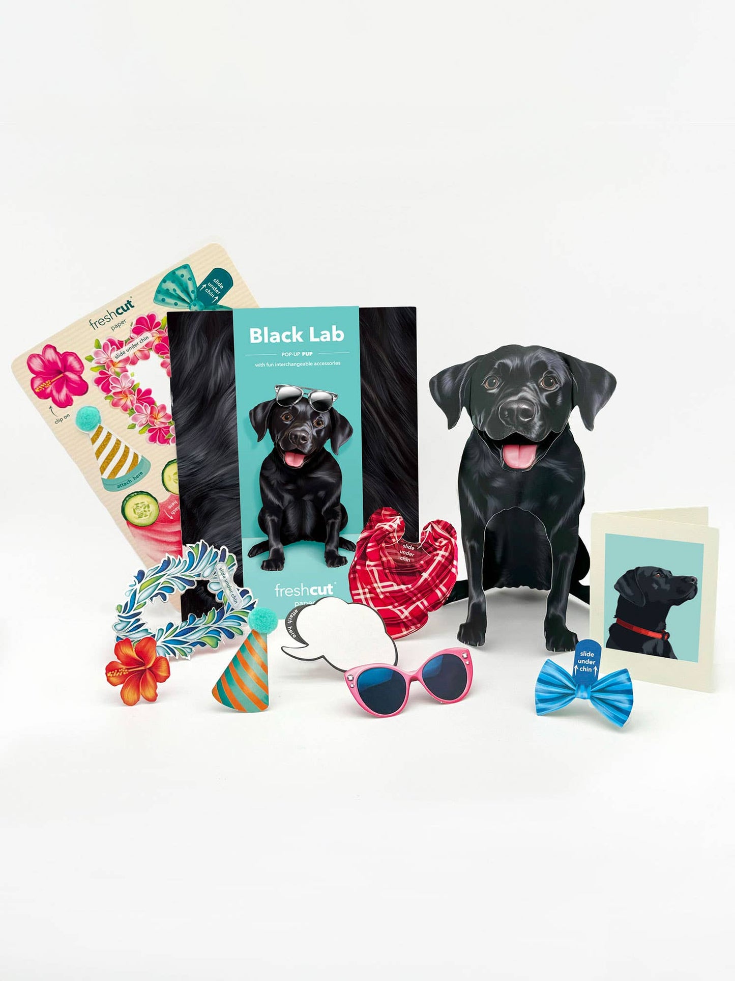 Black Lab Pop Up Card