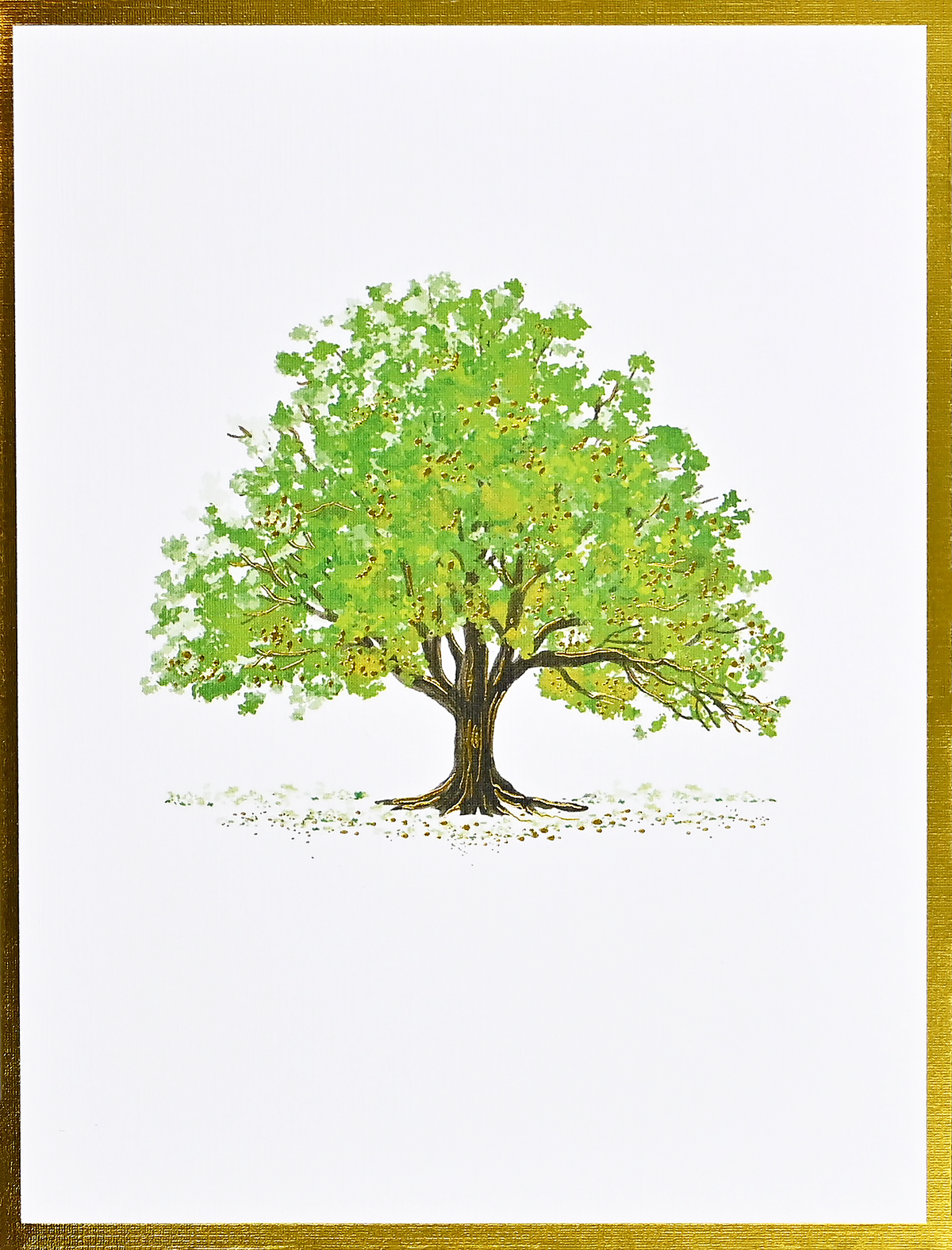 Watercolor Trees Premium Note Cards – Peter Pauper Press