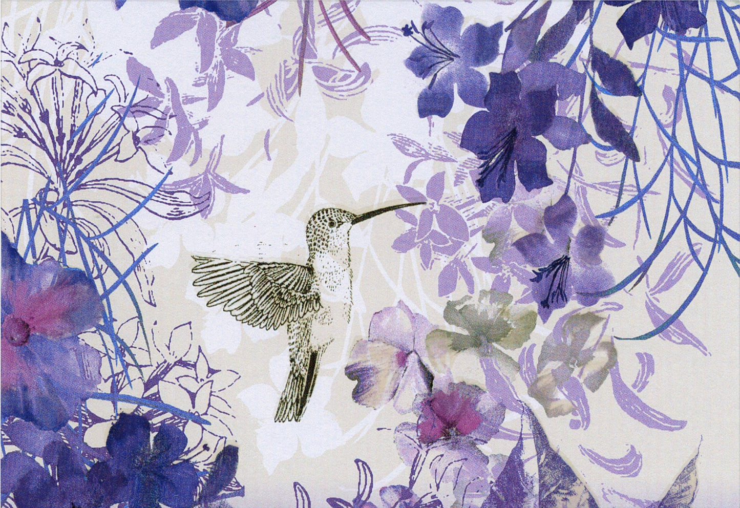 Hummingbird Note Cards