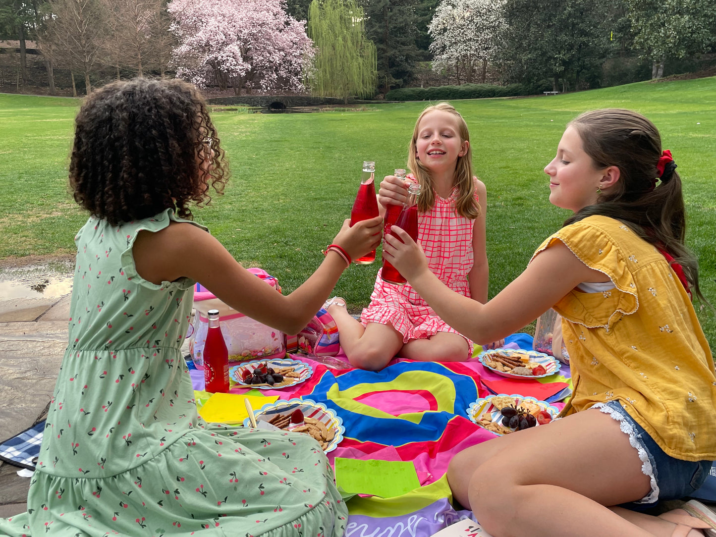 Packed Party - Hey Sunshine Picnic Blanket